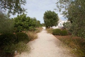 Giardino Villa Trulli Piscina Ostuni #1