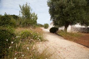 Giardino Villa Trulli Piscina Ostuni