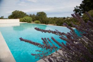 Giardino Villa Trulli Piscina Ostuni #1