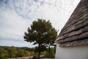 Giardino Villa Trulli Piscina Ostuni #1