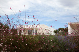 Giardino Villa con Piscina Ostuni #2