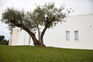 Giardino Villa con ulivi e piscina a Ostuni #2