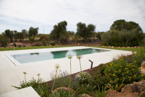 Giardino Villa Piscina Ostuni #2