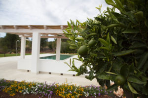 Giardino Villa con Piscina e limoni Ostuni #2