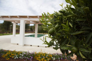 Giardino Villa con Piscina e limoni Ostuni #2