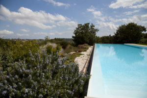 Giardino con Piscina a sfioro Ostuni #5