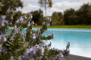 Giardini con Piscina a sfioro Ostuni #5