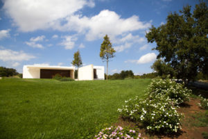 Giardino con Piscina a sfioro Ostuni #5