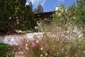 Giardino mediterraneo Villa Ostuni #4