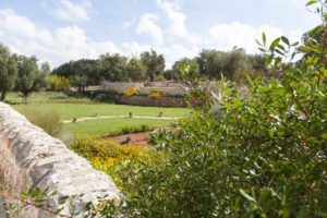 Giardino prato e verde design Villa Ceglie Messapica #6