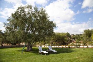 Garden Design in Puglia