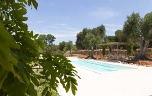 Progettazione Giardini con piscina Ostuni #8