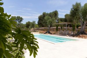 Progettazione Giardini con piscina Ostuni #8