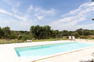 Progettazione Giardini piscina Ostuni #8