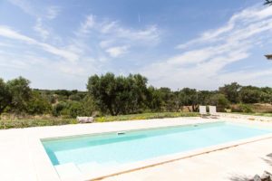 Progettazione Giardini piscina Ostuni #8