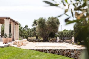 Progettazione Giardini ulivi Brindisi Ostuni #8