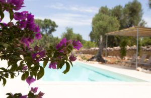 Giardino piscina villa Ostuni Brindisi #8