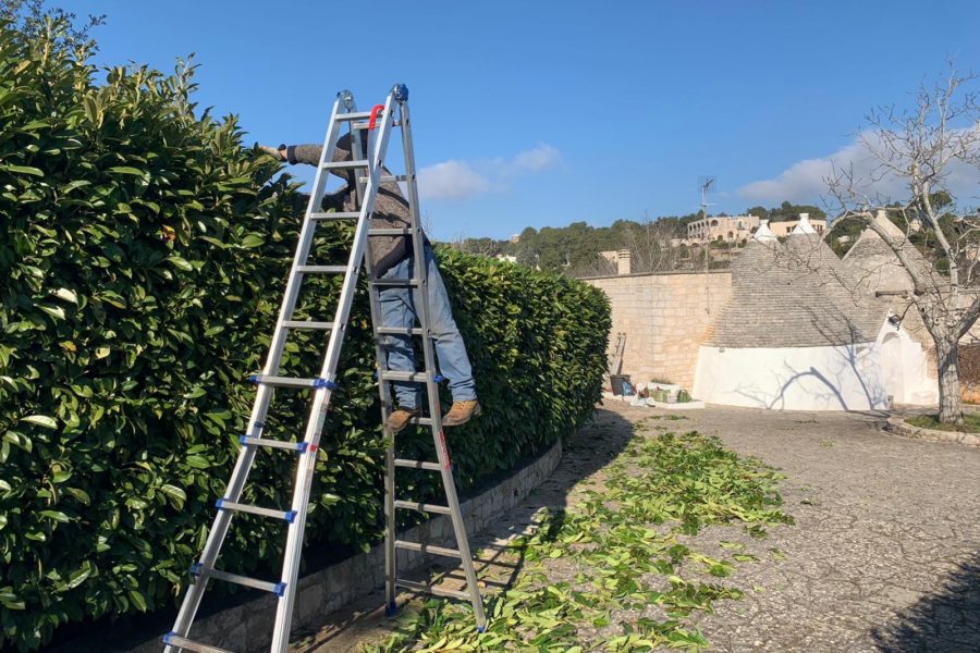 potatura giardino e alberi - vivaio zizzi puglia