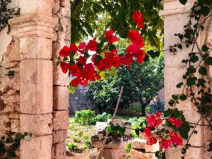 Giardino fiori antica masseria Ostuni #9