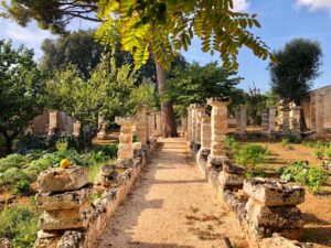 Giardino mediterraneo antica masseria Ostuni #9