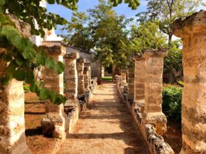 Giardino mediterraneo antica masseria Ostuni #9