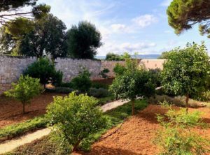 Giardino mediterraneo antica masseria Ostuni #9