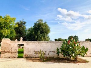 Giardino fico d'india antica masseria Ostuni #9