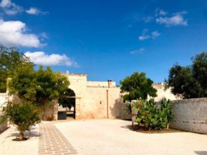 Giardino antica masseria Ostuni #9