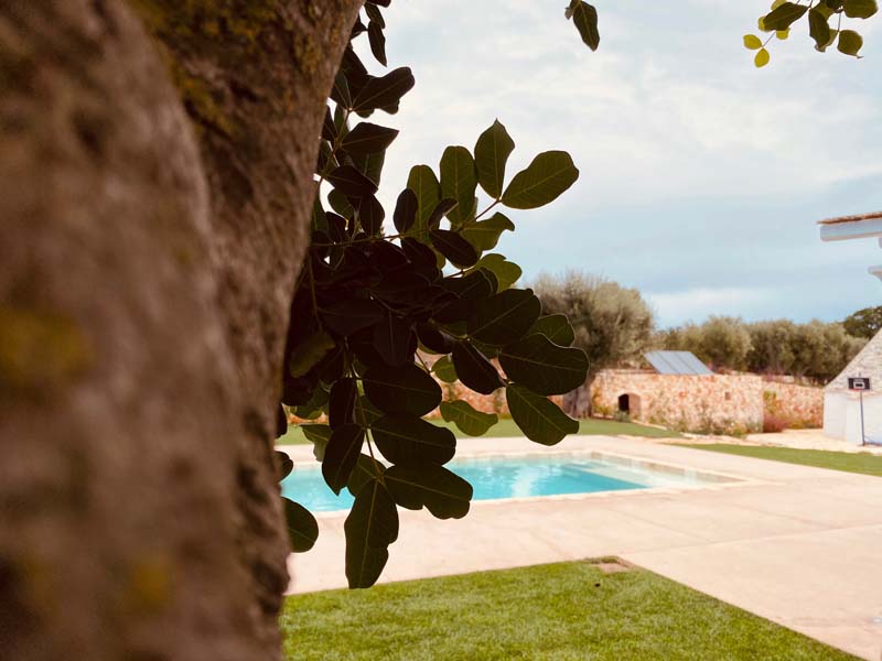 Progetto Giardino piscina trulli e ulivi villa Cisternino #10