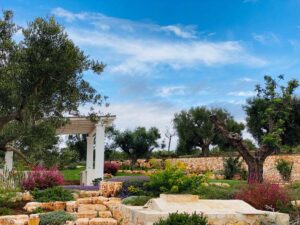 Giardino mediterraneo con piscina e ulivi villa Cisternino #10