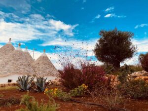 Giardino con trulli e ulivi villa Cisternino #10