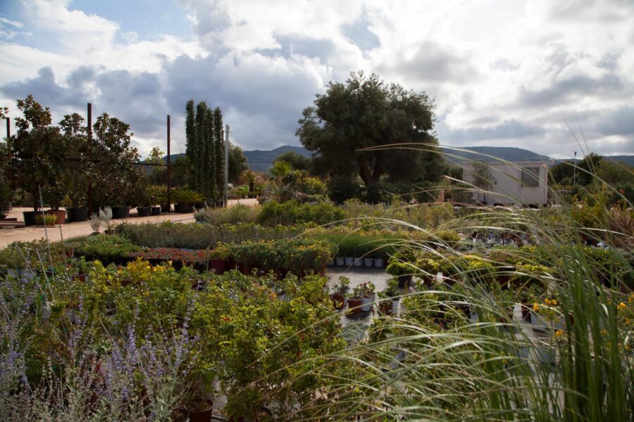 giardinieri a fasano