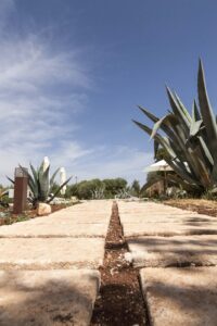 Villa a Ostuni Giardini Zizzi #2