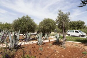 Masseria a Ostuni Giardini Zizzi #5