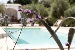 Villa a Ostuni Giardini Zizzi #9