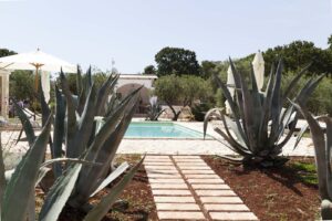Progettazione e realizzazione giardino villa Ostuni