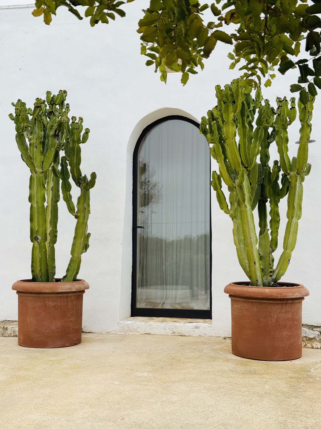 Villa Cardo – Carovigno
